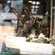Illustration for article titled All the Coolest and Craziest Stuff We Saw at GenCon!